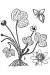 200511 Round-Lobed Hepatica (Hepatica nobilis) - USDA Illustration.htm