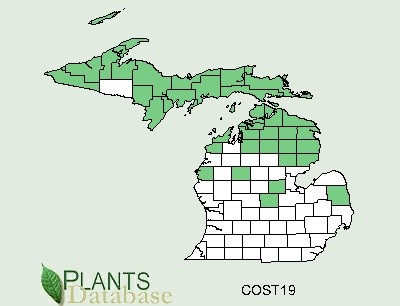 200707 Hooded aka Striped Coralroot (Corallorhiza striata) - USDA MI Distribution Map.jpg