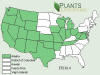 Sandune Wallflower (Erysimum capitatum) USDA US Distribution Map.jpg