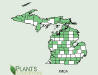 200609 Spotted Touch-Me-Not or Jewelweed (Impatiens capensis) - USDA MI Distribution Map.jpg