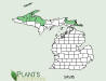 200606 Saxifrage, early (Saxifraga virginiensis) - USDA MI Distribution Map.htm