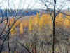 199910300039 Tamarack view from camp ridge.jpg (101095 bytes)