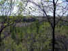 200005060999 tamarack view from camp ridge.jpg (113125 bytes)