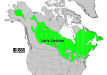 200511 Tamarack (Larix laricina) - USDA Forest Service Native Range Map.jpg