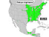 200602 Hop-Hornbeam tree (Ostrya virginiana) - USGS Distribution Map.jpg