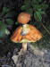 200008121056 Orange Bolete (Leccinum aurantiacum) - Isabella Co.jpg