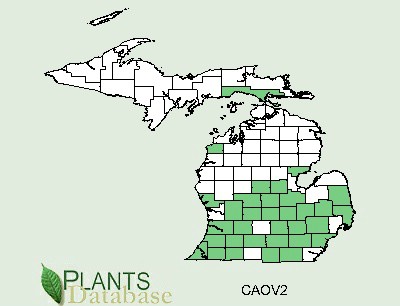 200905 Shagbark Hickory (Carya ovata) - USDA MI Distribution Map.jpg