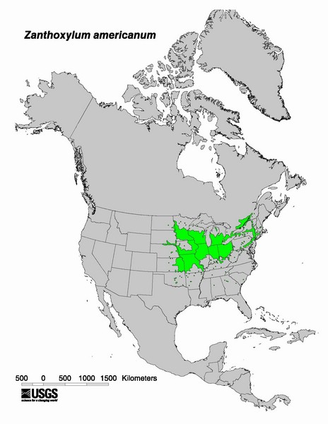 200806 Prickly Ash (Zanthoxylum americanum) - USGS NA Distribution Map.jpg