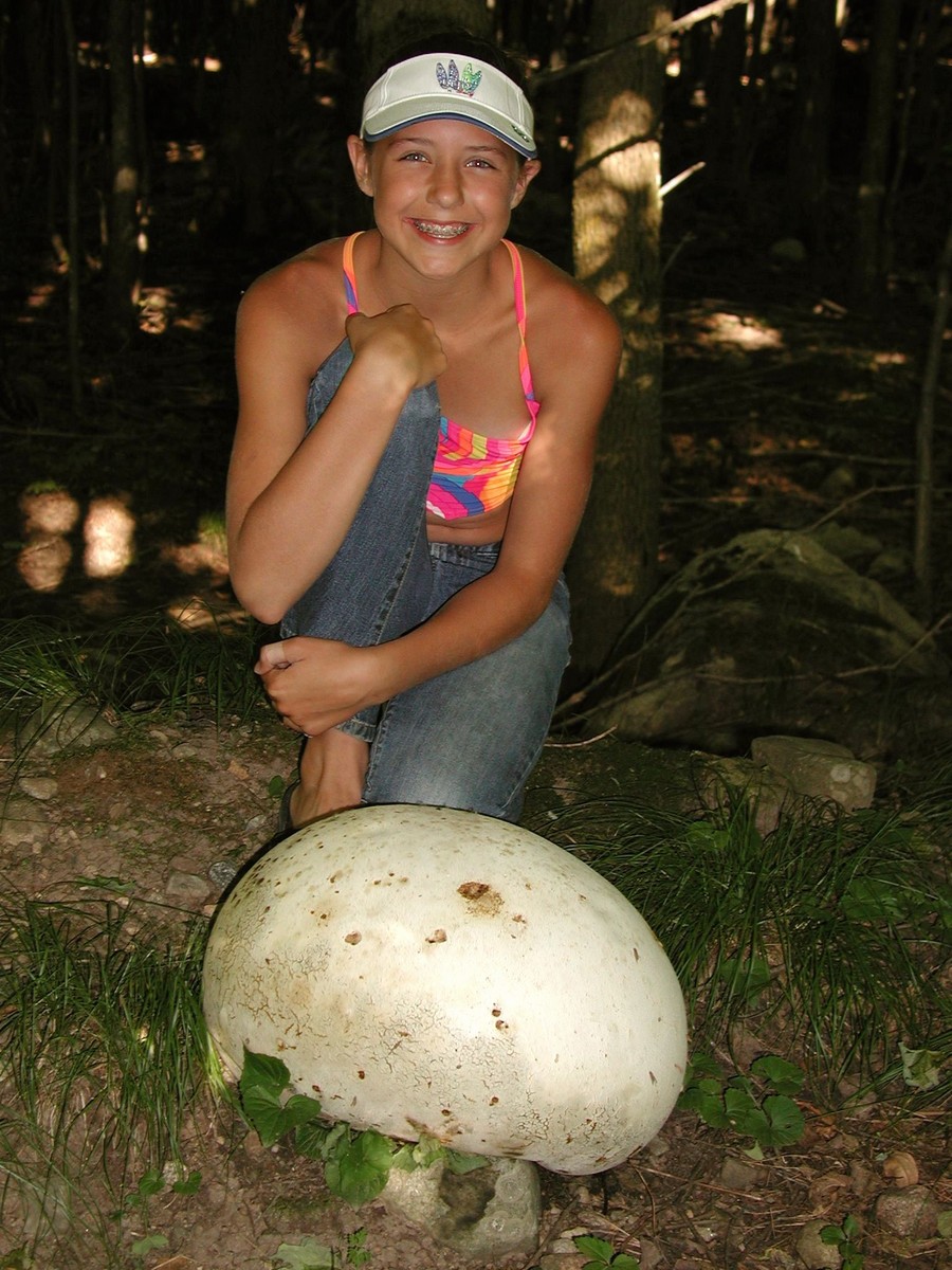 200207060147 Giant Puffball Mushroom (Calvatia gigantea) - Manitoulin