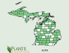 200610 White Baneberry (Actaea pachypoda) - USDA MI Distribution Map.jpg