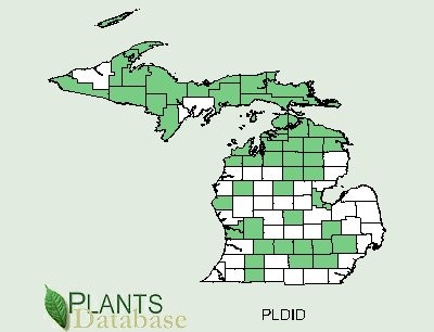 201006 Scentbottle (Platanthera dilatata) - USDA MI Distribution Map.jpg