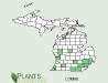 200611 Amur honeysuckle (Lonicera maackii) - USDA MI Distribution Map.jpg