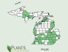 200608 Lopseed (Phryma leptostachya) - USDA MI Distribution Map.jpg