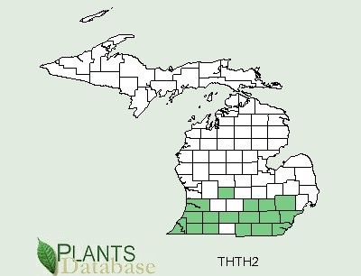 200609 Rue-Anemone (Thalictrum thalictroides) - USDA MI Distribution Map.jpg