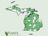 200608 Swamp Milkweed (Asclepias incarnata) - USDA MI Distribution Map.jpg