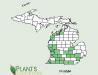 200509 American Pokeweed (Phytolacca americana) - USDA MI Distribution.jpg