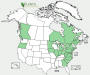 200812 Hosre Chestnut tree  (Aesculus hippocastanum) - USDA US Distribution Map.htm