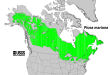 200511 Black Spruce (Picea mariana) - USDA Forest Service Native Range Map.jpg