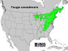 200511 Eastern Hemlock (Tsuga canadensis) - USDA Forest Service Native Range Map.jpg