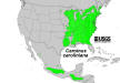200602 American Hornbeam (Carpinus caroliniana) - USGS Distribution Map.jpg