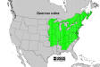 200602 Northern Red Oak (Quercus rubra) - USGS Forest Service Native Range Map.jpg