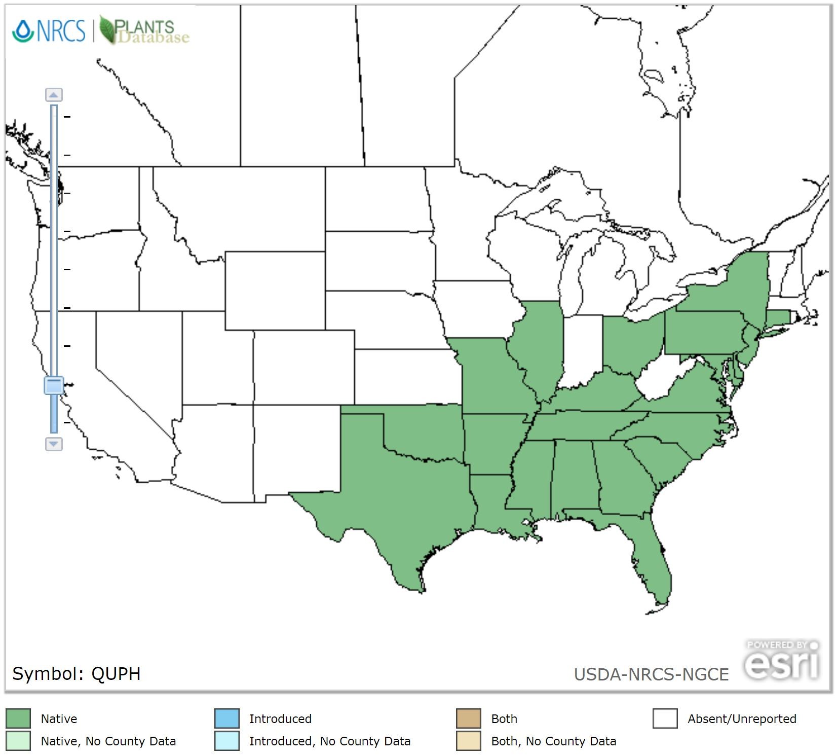 201908 Willow Oak (Quercus phellos) - USDA NA Distribution Map.jpg