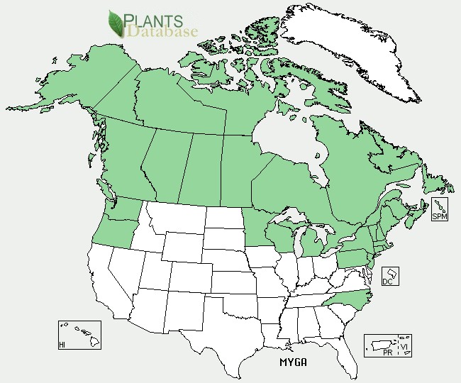 2014-06 Bog Myrtle (Myrica gale) - USDA US Distribution Map.jpg